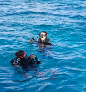 Baptême de plongée