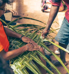 Aro Maoré | Visite de Plantation - Top Famille