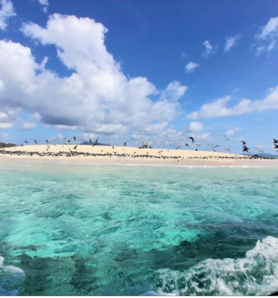 SORTIE LAGON – ÎLOTS DU SUD 🐬