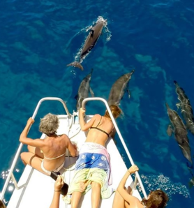 Sortie Bateau avec Sea Blue | Safari Dauphins & Découverte du Lagon