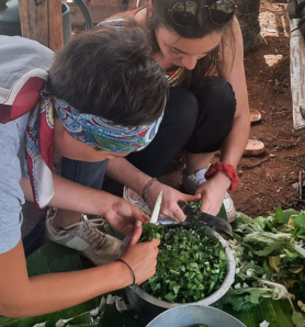 Expérience Malavuni | Le jardin agricole de fatima