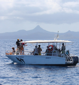 Journée safari dans le lagon
