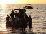 Aperçu 1 de Safari Sunset dans le Nord