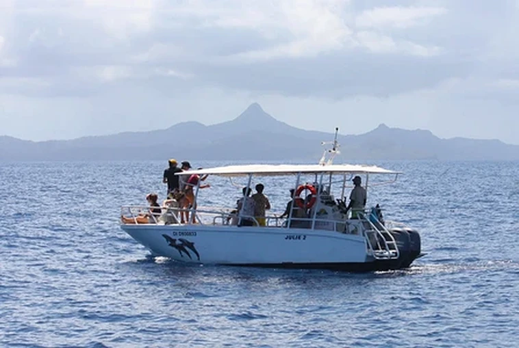 Journée safari dans le lagon