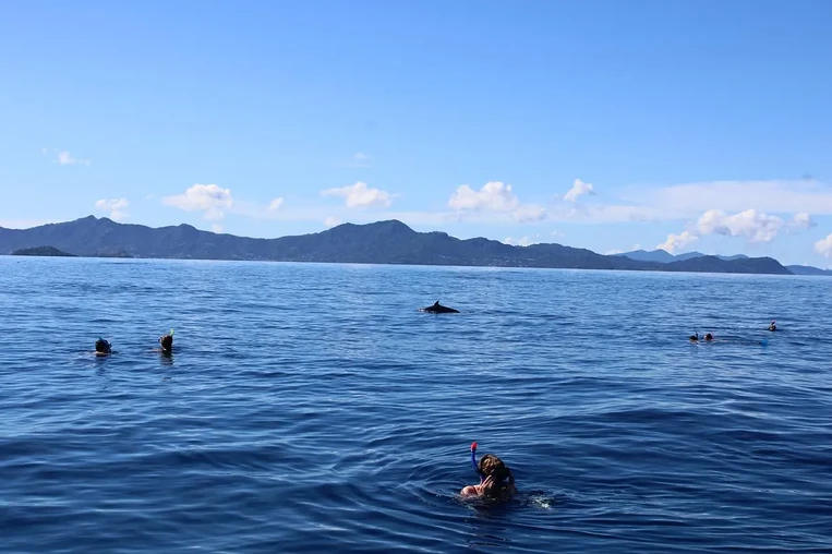 Fins, snorkel (PMT) outing